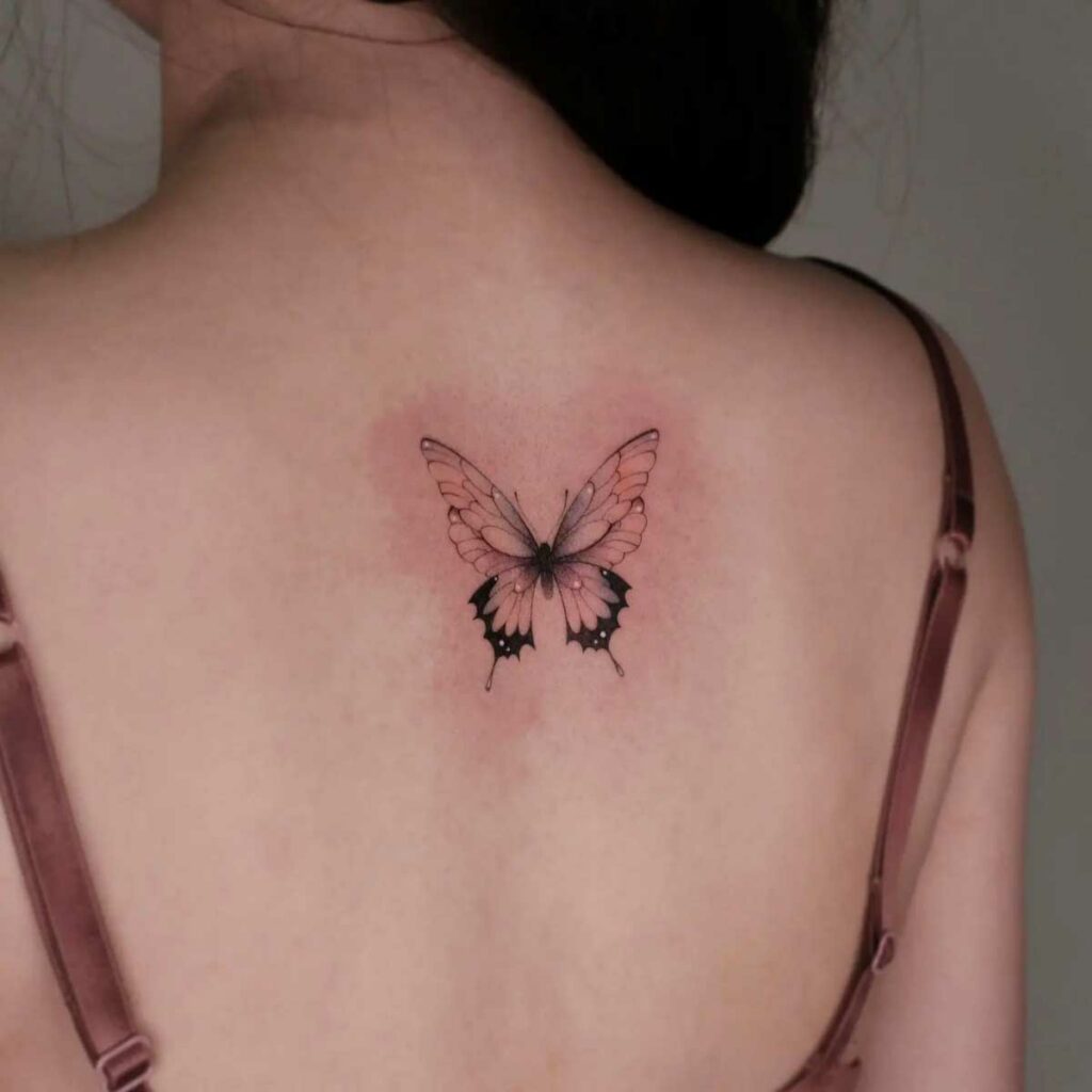Large Butterfly Wings on Back