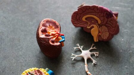Alzheimer's Care: Resources for Caring for a Loved One